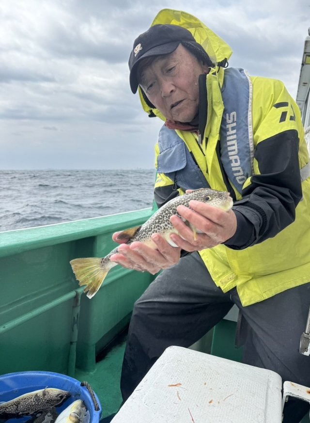 ショウサイフグ