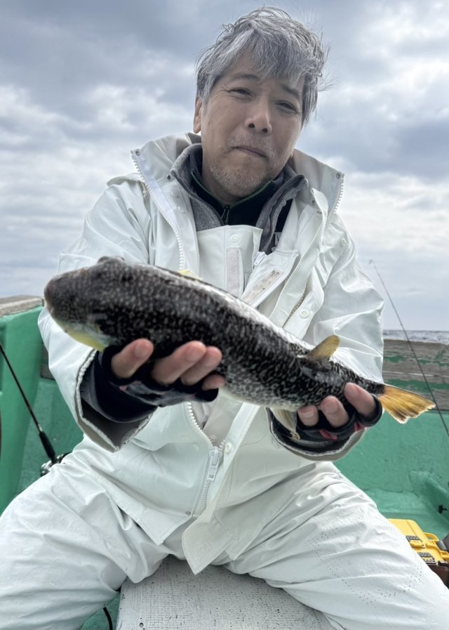 ショウサイフグ