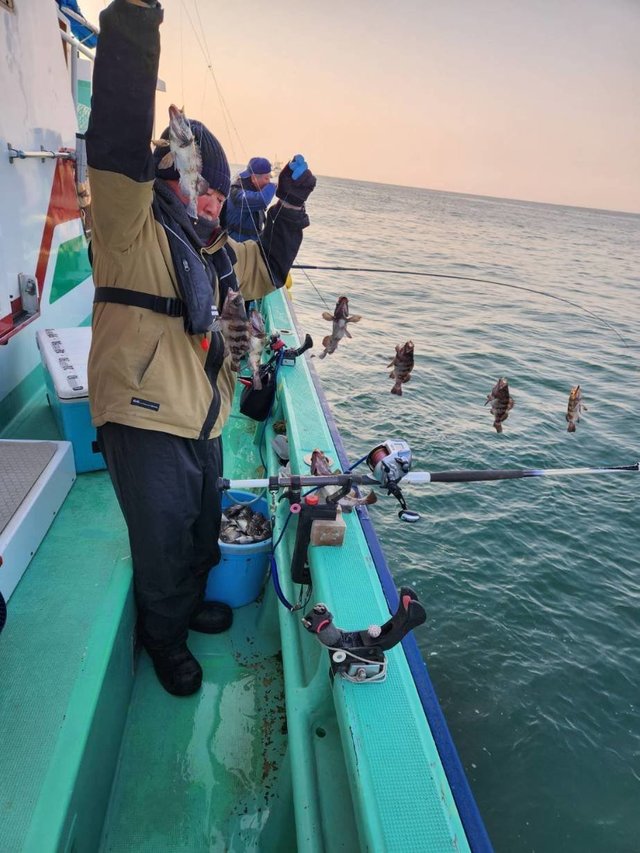 クロメバル(メバル)