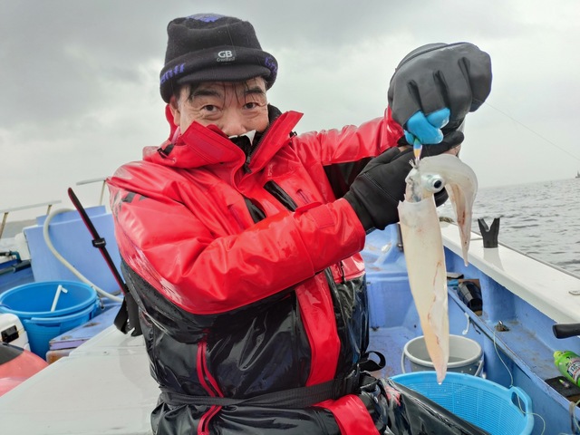 マルイカ(ケンサキイカ)