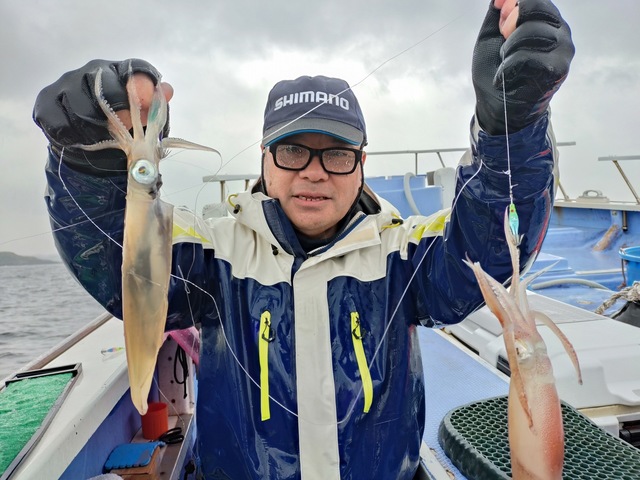 マルイカ(ケンサキイカ)