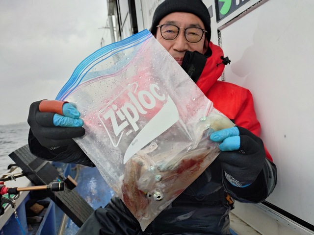 マルイカ(ケンサキイカ)