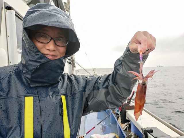 マルイカ(ケンサキイカ)