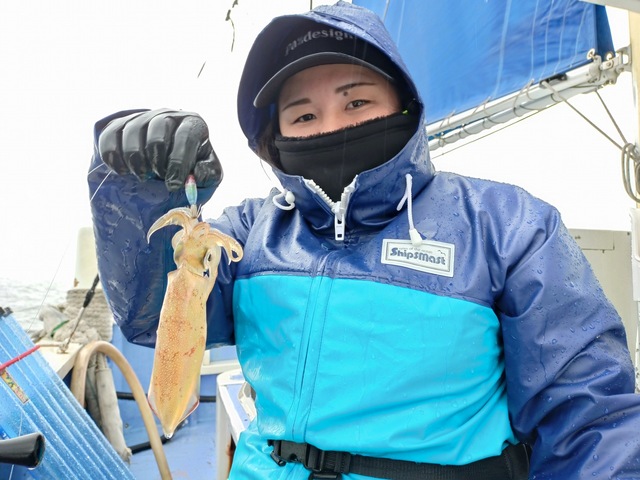 マルイカ(ケンサキイカ)