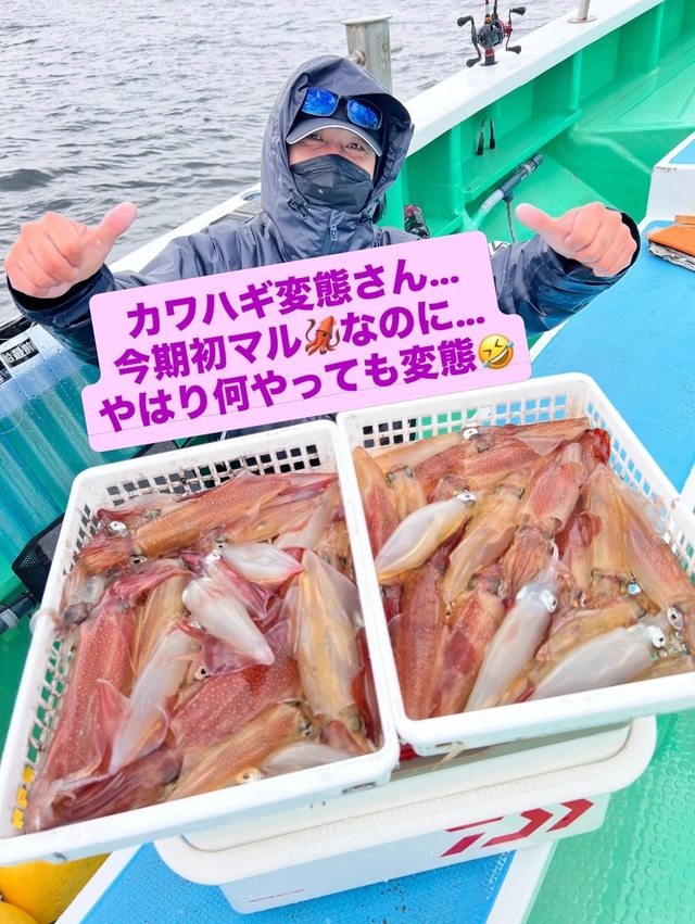 マルイカ(ケンサキイカ)