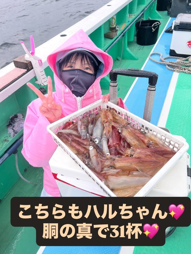 マルイカ(ケンサキイカ)