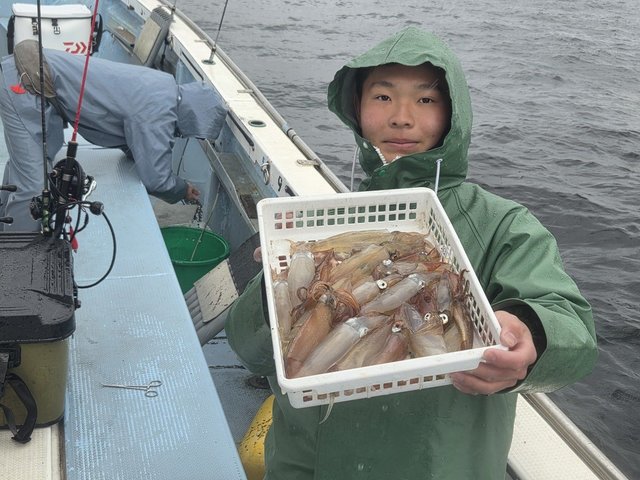 マルイカ(ケンサキイカ)