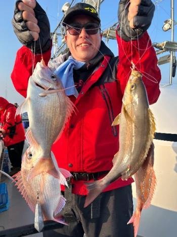 チダイ・イサキ