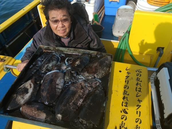 カミナリイカ・シリヤケイカ