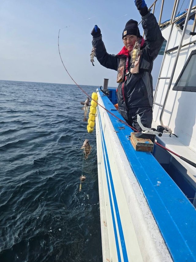 メバル(ウスメバル)