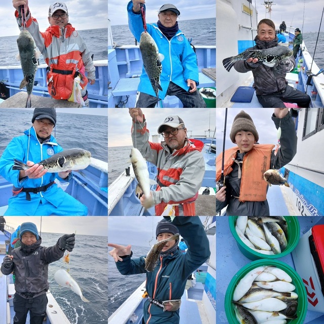 ショウサイフグ