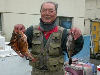 メバル・オキメバル(ウスメバル)