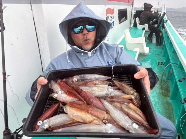 マルイカ(ケンサキイカ)