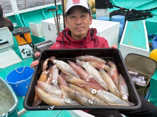 マルイカ(ケンサキイカ)