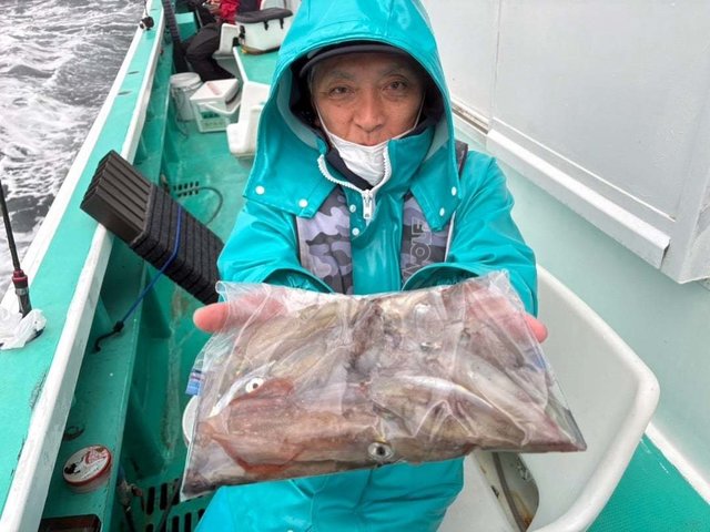 マルイカ(ケンサキイカ)