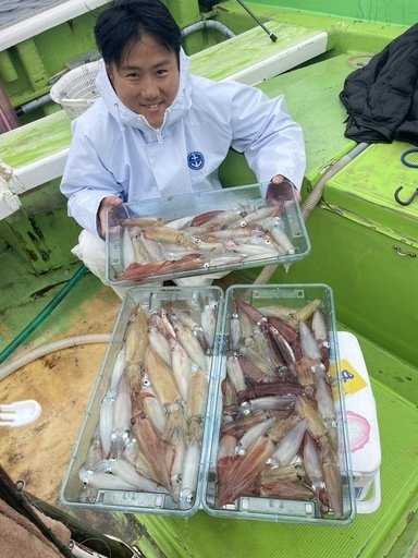 マルイカ(ケンサキイカ)