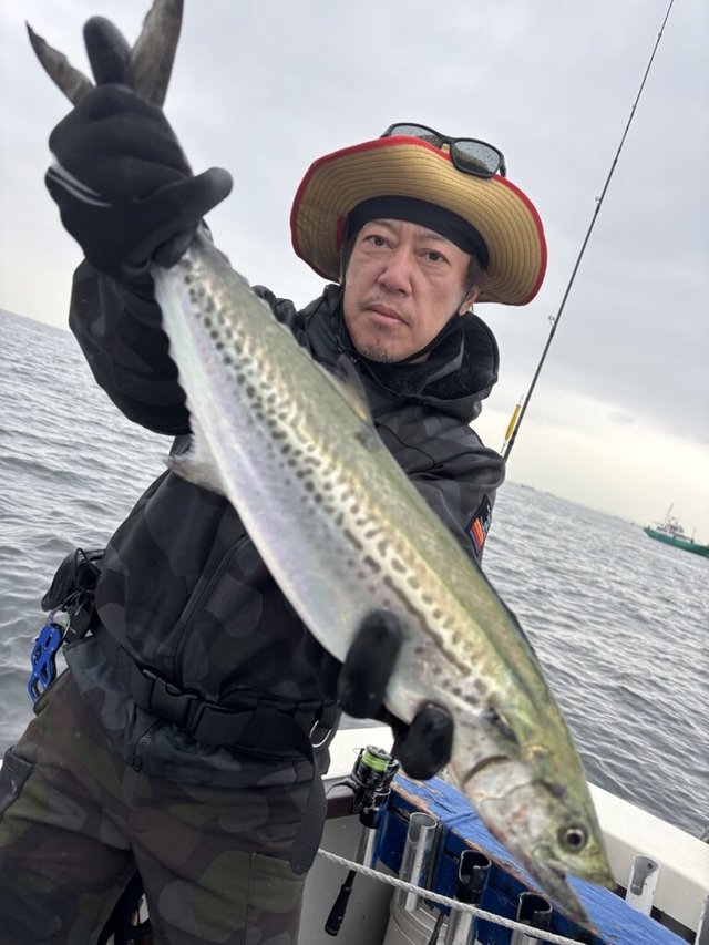 サゴシ(サワラ)