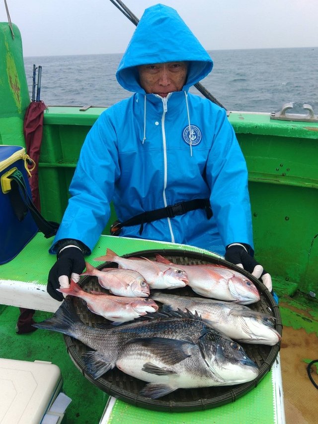 マダイ・ハナダイ(チダイ)・クロダイ