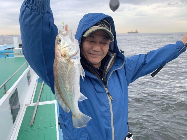 イシモチ(シログチ)