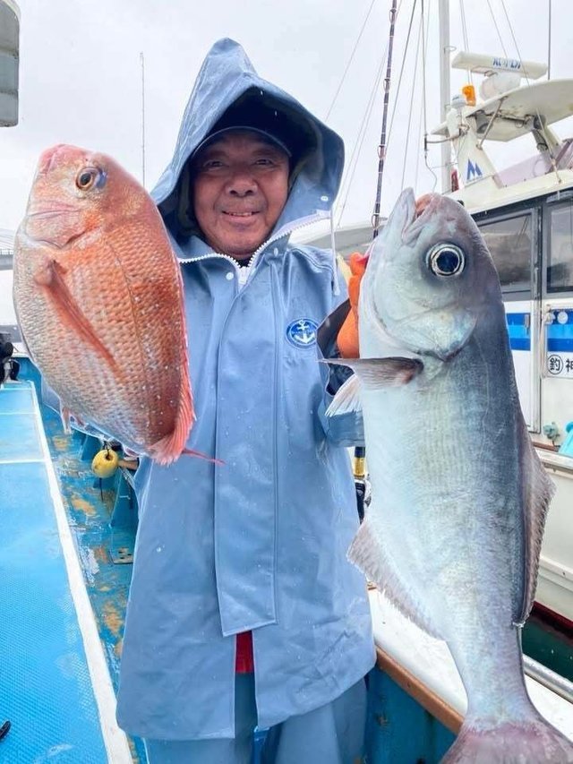 マダイ・メダイ