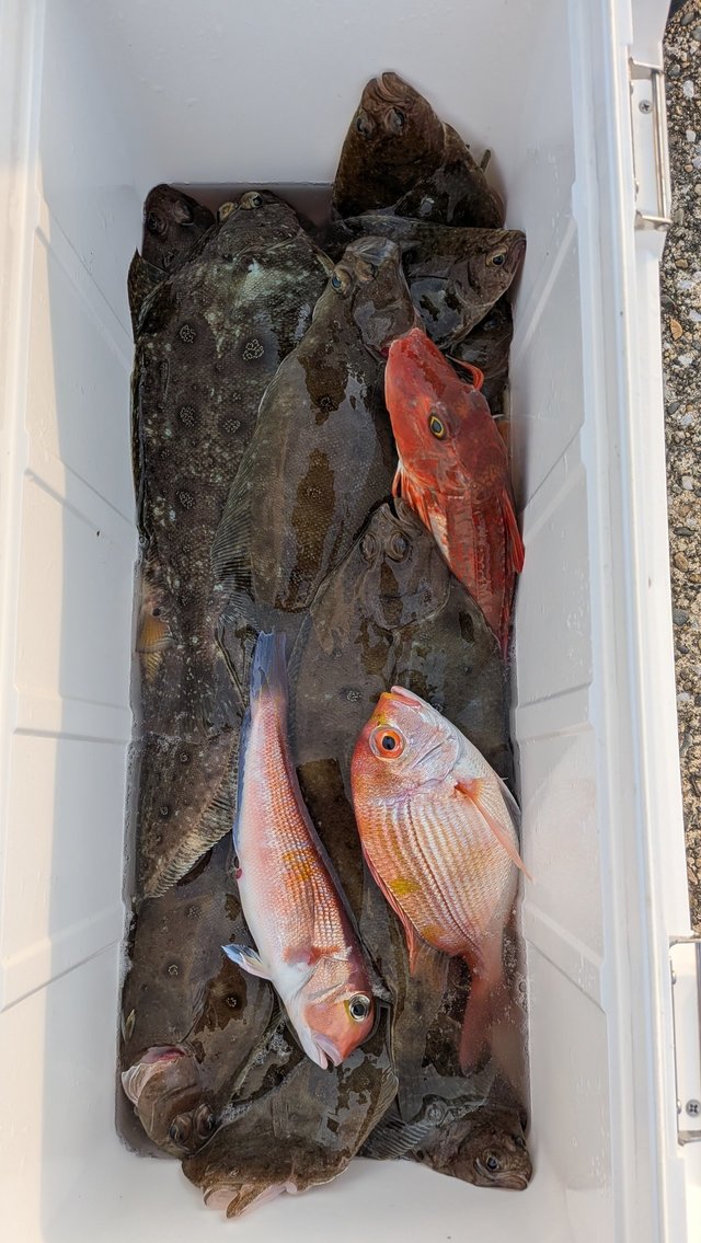 アカアマダイ・ムシガレイ