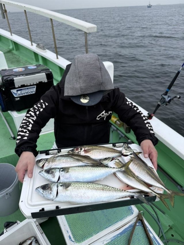 アジ(マアジ)・サバ(ゴマサバ)