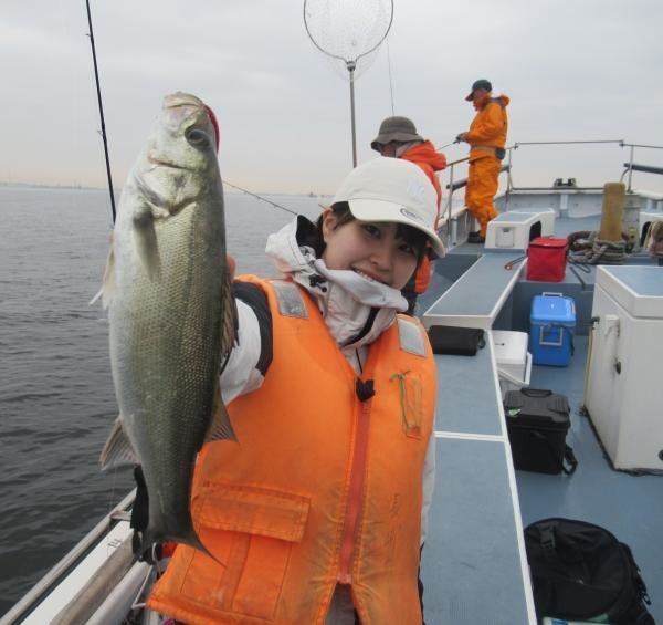 シーバス(スズキ)