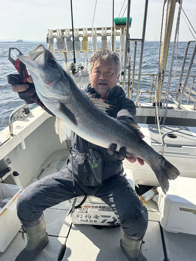 シーバス(スズキ)