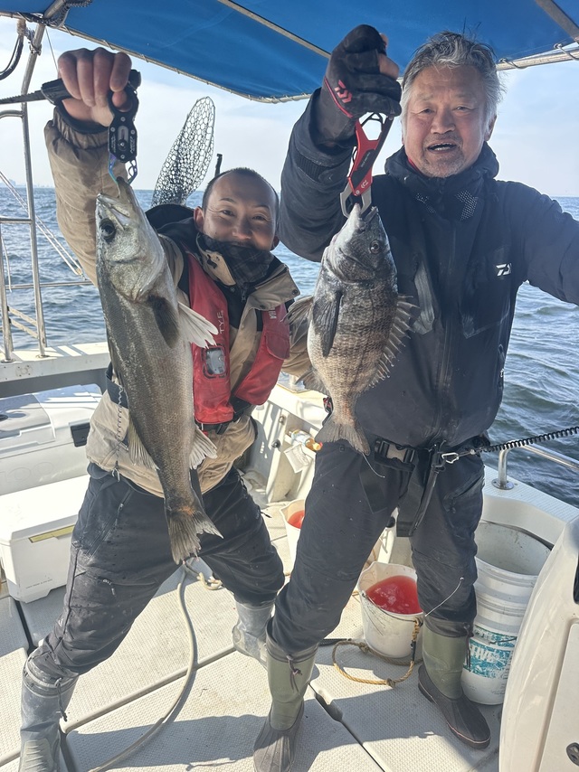 クロダイ・シーバス(スズキ)