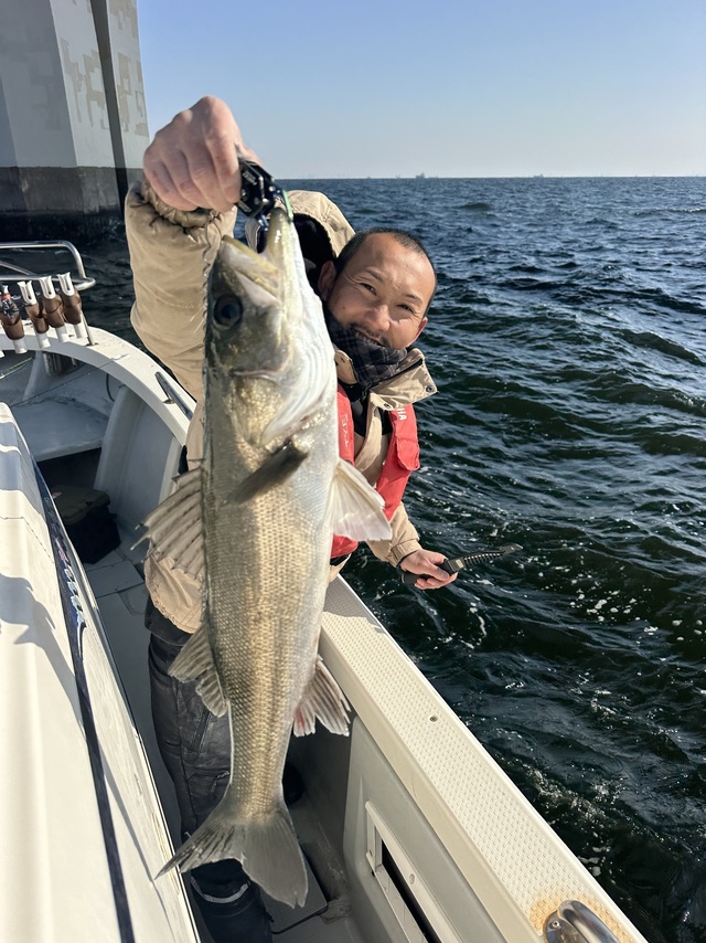 シーバス(スズキ)