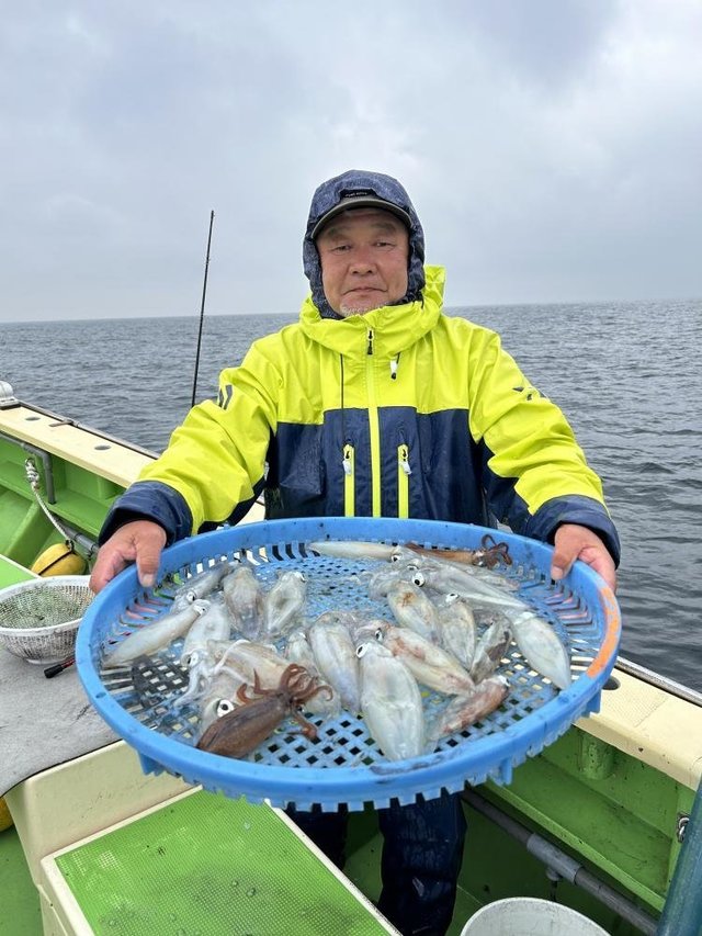 マルイカ(ケンサキイカ)