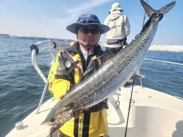 シーバス(スズキ)