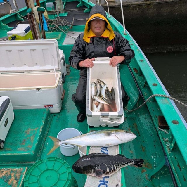 アジ(マアジ)・ワラサ(ブリ)・トラフグ