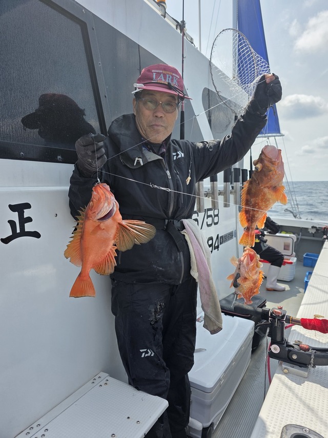 チカメキントキ・ボッコ(カサゴ)