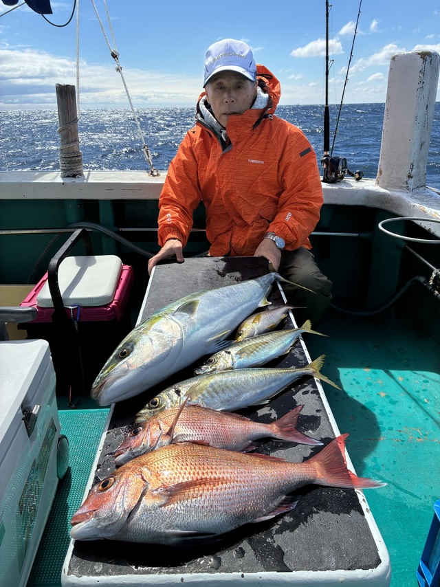 マダイ・マアジ・ブリ