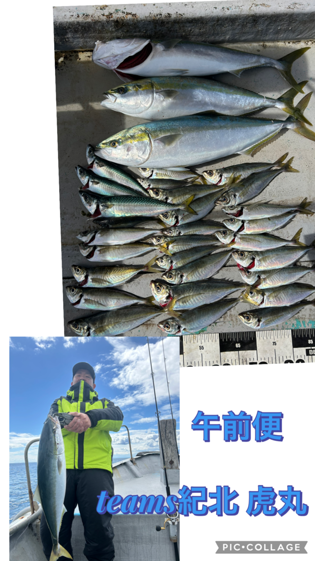 アジ(マアジ)・メジロ(ブリ)・マサバ