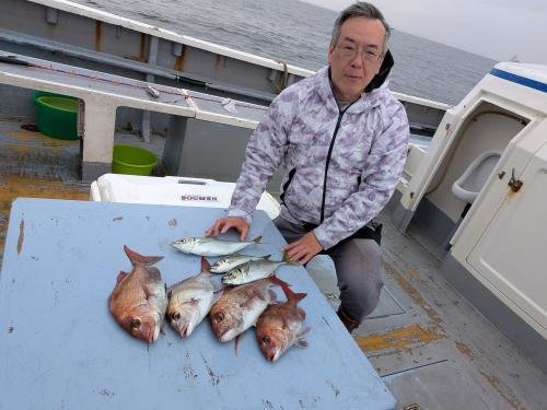 マダイ・アジ(マアジ)