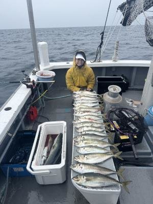 マアジ・メジロ(ブリ)・イサキ・サバ(ゴマサバ)