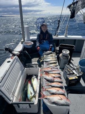 マダイ・チダイ・マアジ・ブリ・メジロ(ブリ)・イサギ(イサキ)