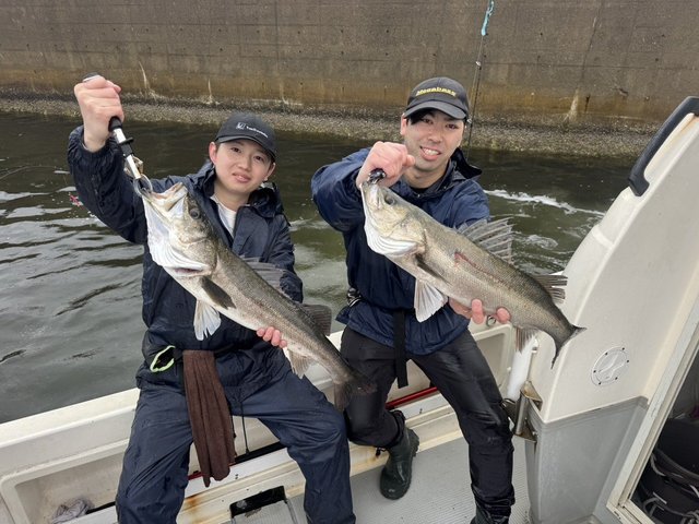 シーバス(スズキ)