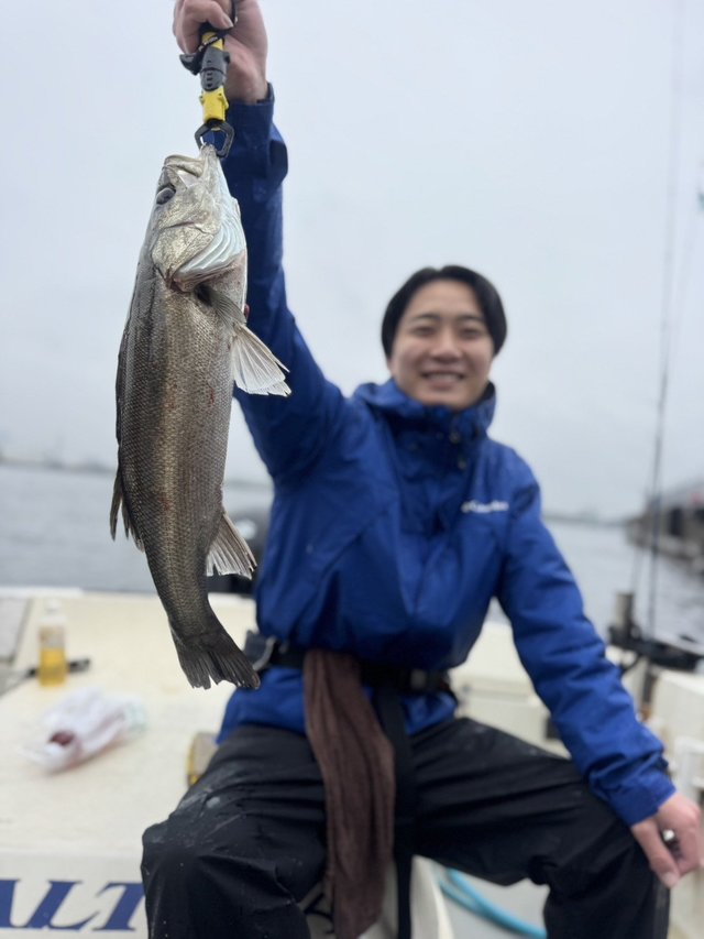 シーバス(スズキ)