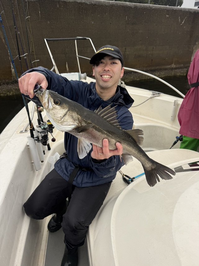 シーバス(スズキ)