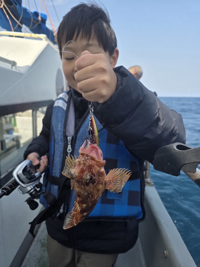 アラカブ(カサゴ)