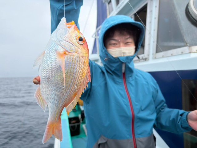 レンコダイ(キダイ)