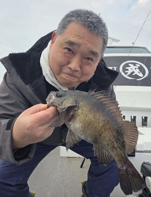 クロメバル(メバル)