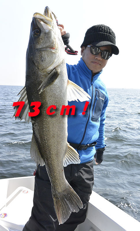 シーバス(スズキ)