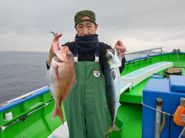 マダイ・サバ(ゴマサバ)