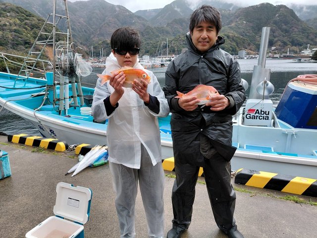 レンコダイ(キダイ)