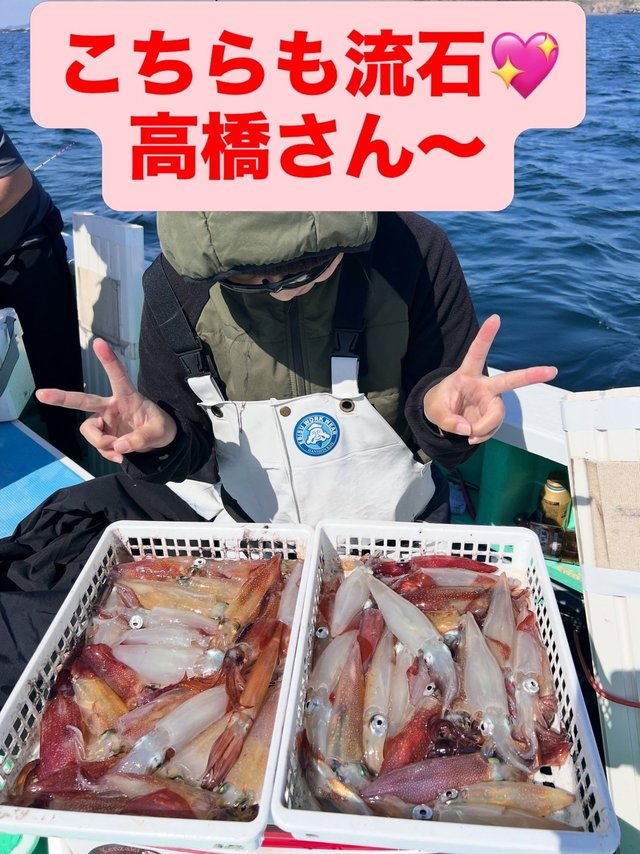 マルイカ(ケンサキイカ)