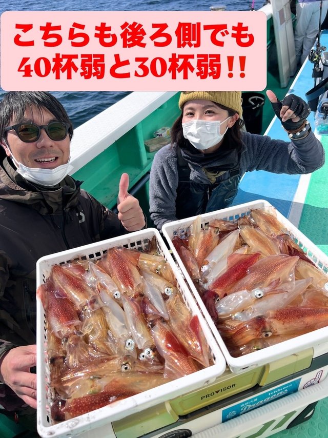 マルイカ(ケンサキイカ)